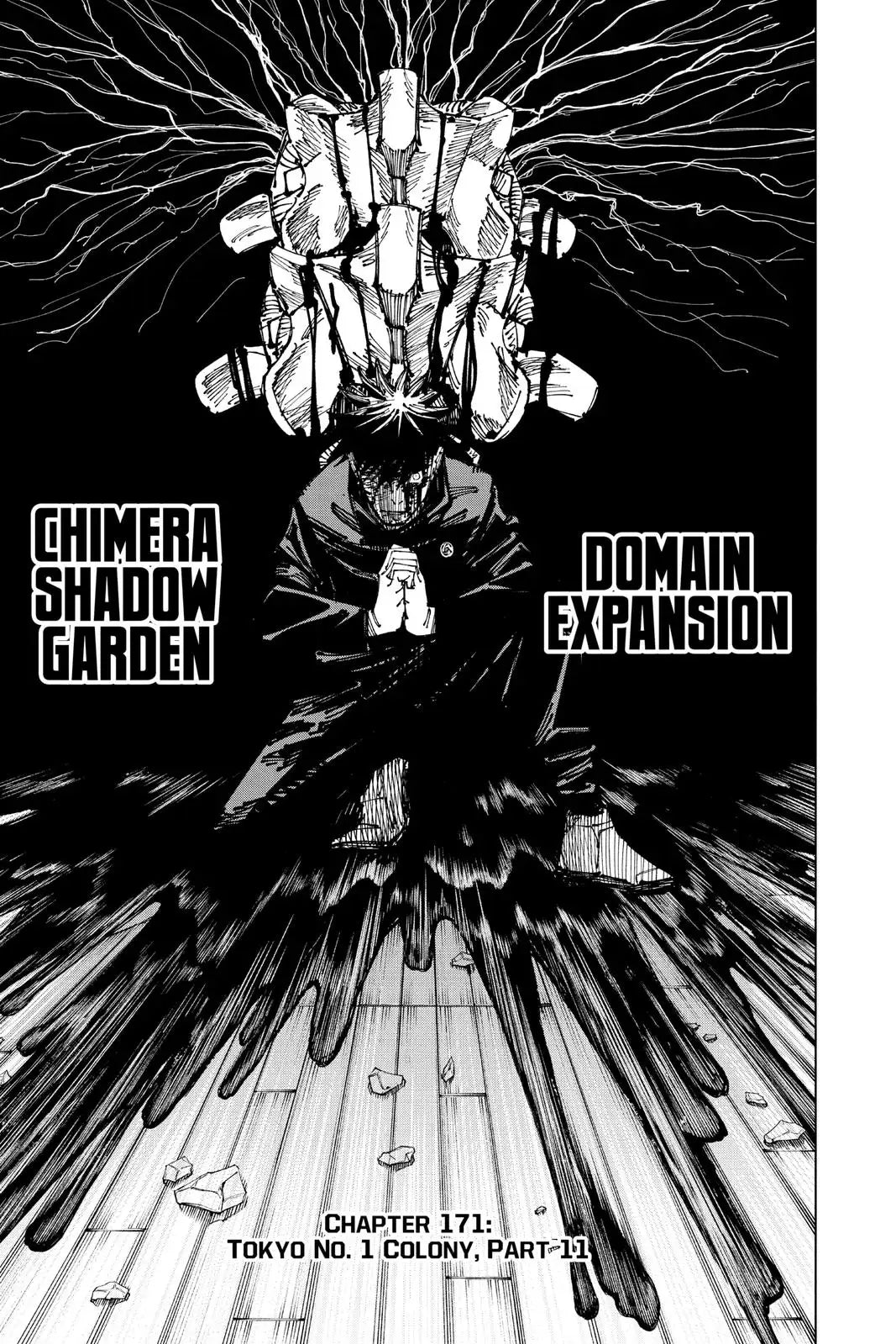 JUJUTSU KAISEN MANGA CHAPTER 171 - jujutsu-kaisen-merch.com