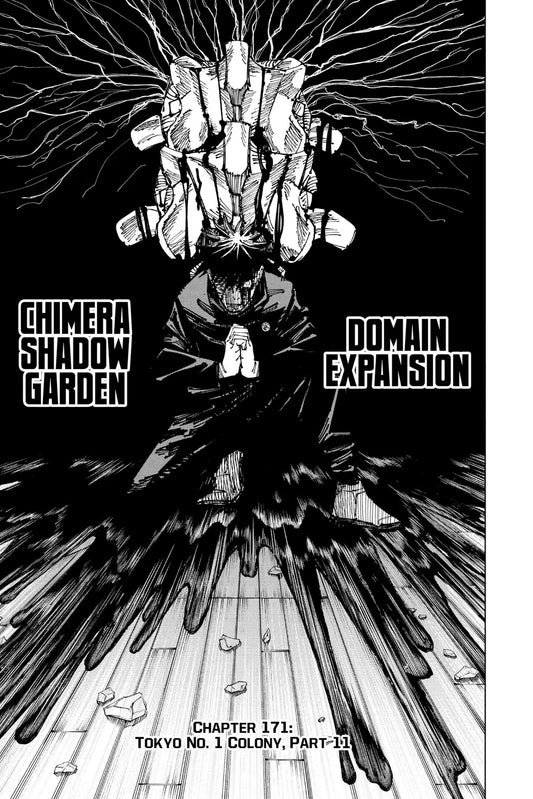 JUJUTSU KAISEN MANGA CHAPTER 171 - jujutsu-kaisen-merch.com