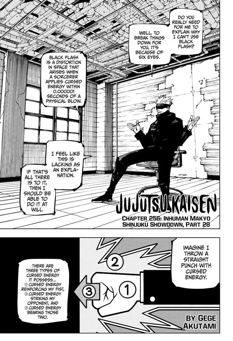 JUJUTSU KAISEN MANGA CHAPTER 256 - jujutsu-kaisen-merch.com