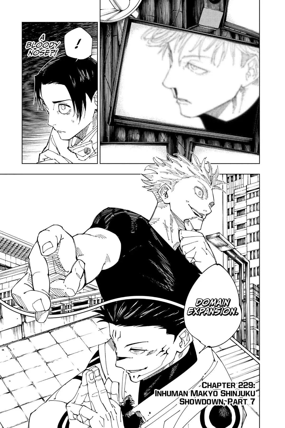 JUJUTSU KAISEN MANGA CHAPTER 229 - jujutsu-kaisen-merch.com