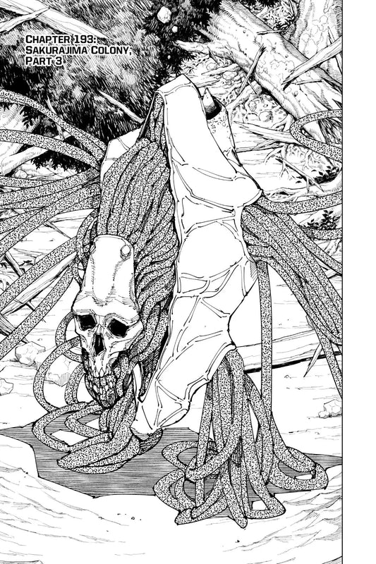 JUJUTSU KAISEN MANGA CHAPTER 193 - jujutsu-kaisen-merch.com