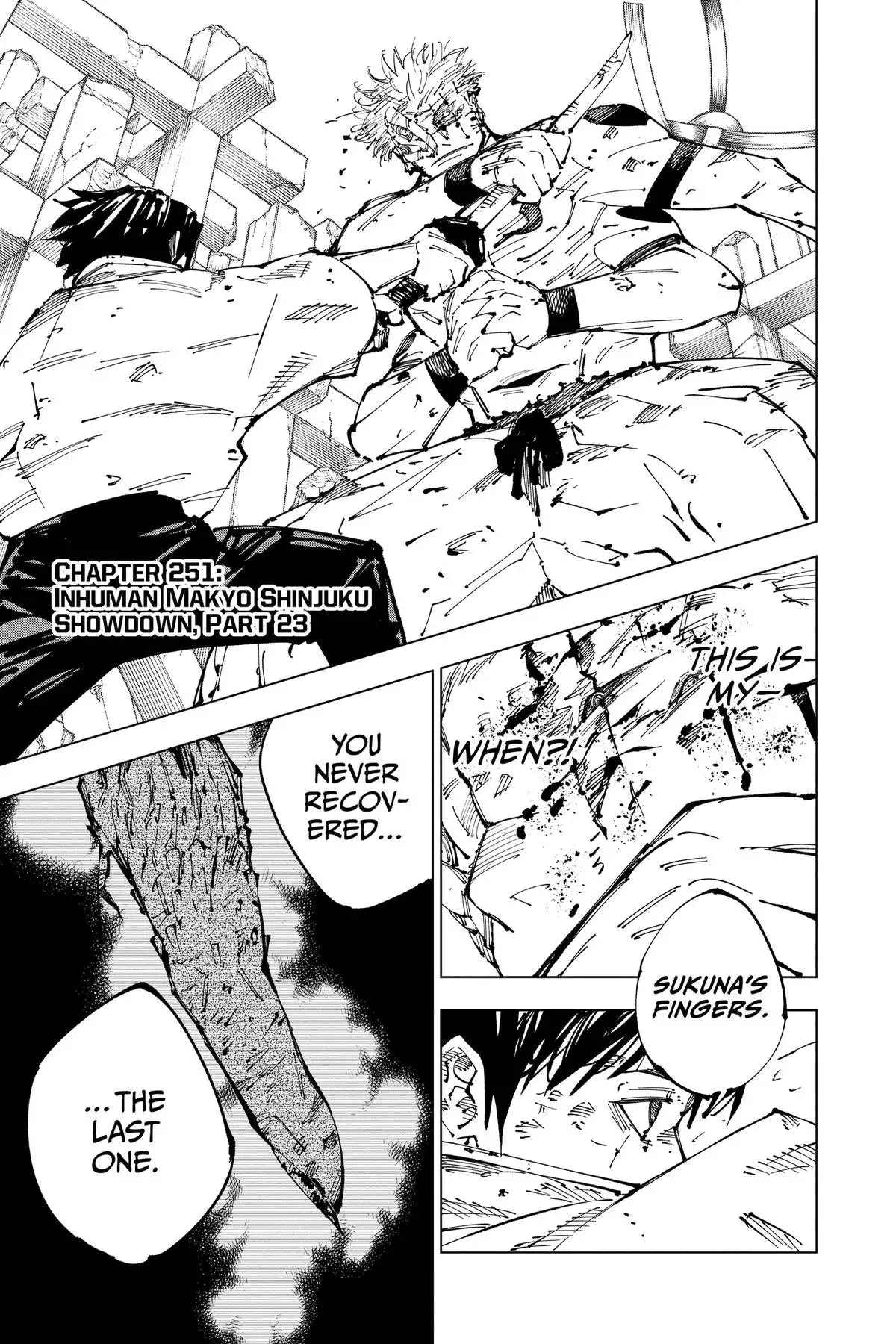 JUJUTSU KAISEN MANGA CHAPTER 251 - jujutsu-kaisen-merch.com
