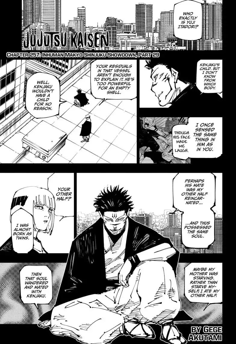 JUJUTSU KAISEN MANGA CHAPTER 257 - jujutsu-kaisen-merch.com