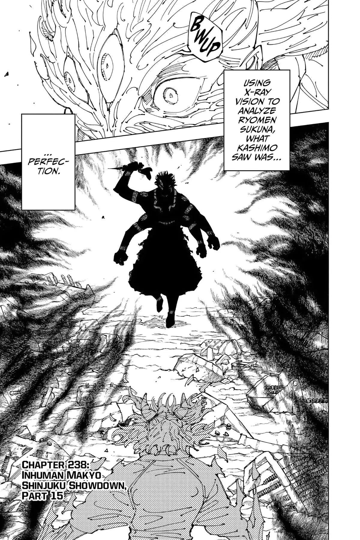 JUJUTSU KAISEN MANGA CHAPTER 238 - jujutsu-kaisen-merch.com