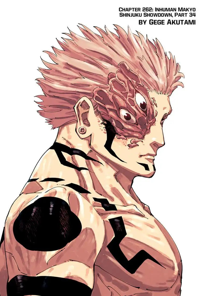 JUJUTSU KAISEN MANGA CHAPTER 262 - jujutsu-kaisen-merch.com